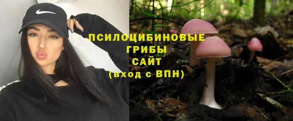 спиды Абаза