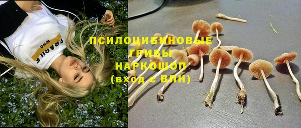 Альфа ПВП Абинск
