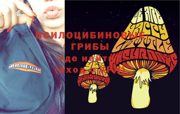 спиды Абаза