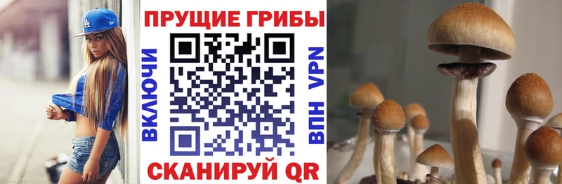 наркошоп Оса Псилоцибиновые грибы ЛСД