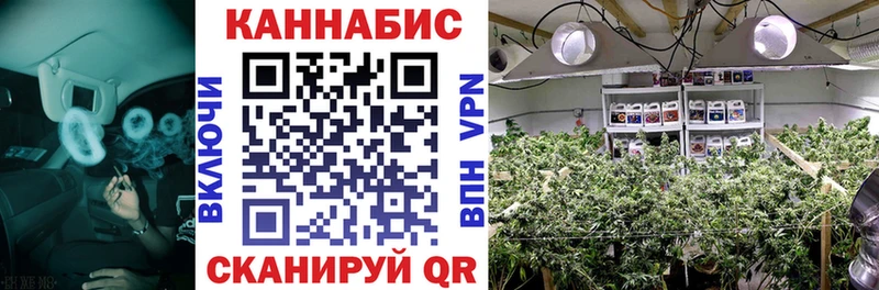 МАРИХУАНА SATIVA & INDICA  Оса 